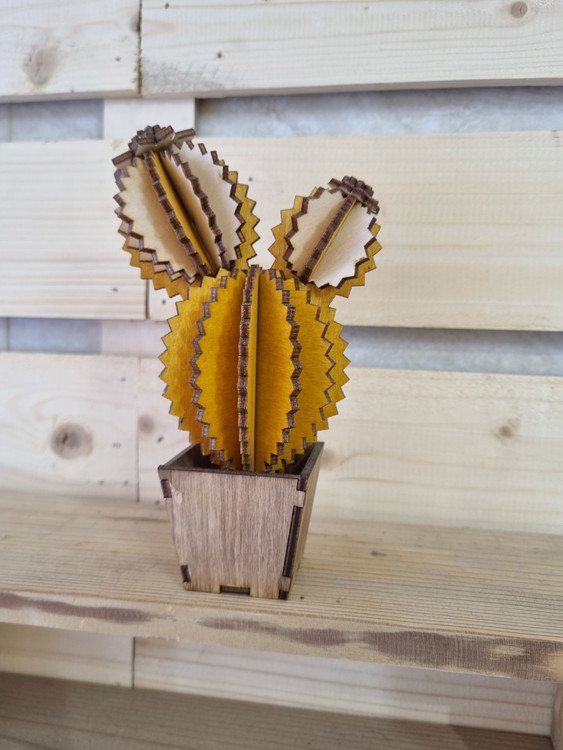 گلدان چوبی کاکتوس