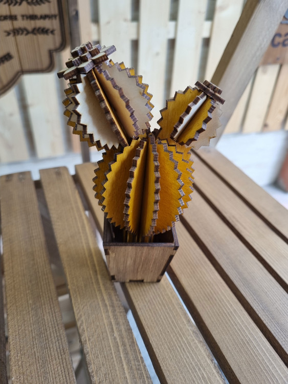 دکوری چوبی گلدان کاکتوس