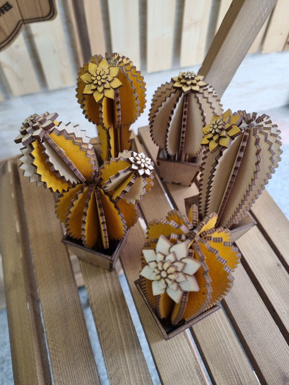 کاکتوس چوبی